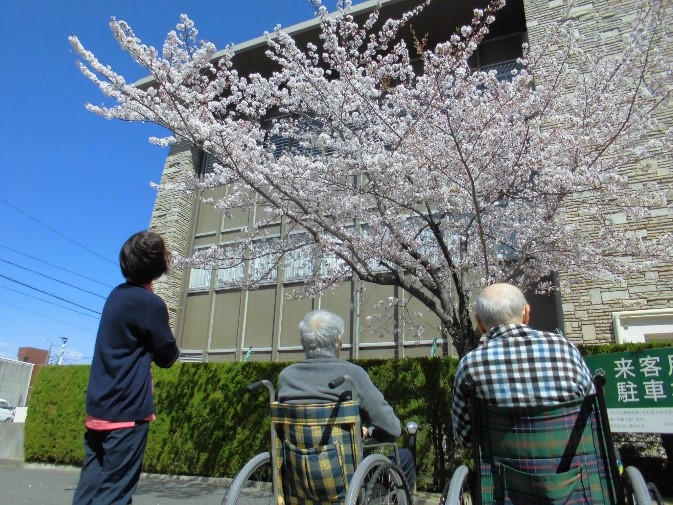 皆さん一緒に桜を楽しみました