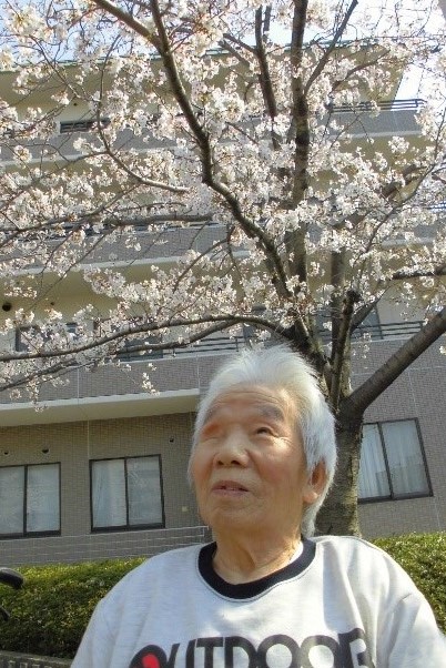 満開の桜を見上げます