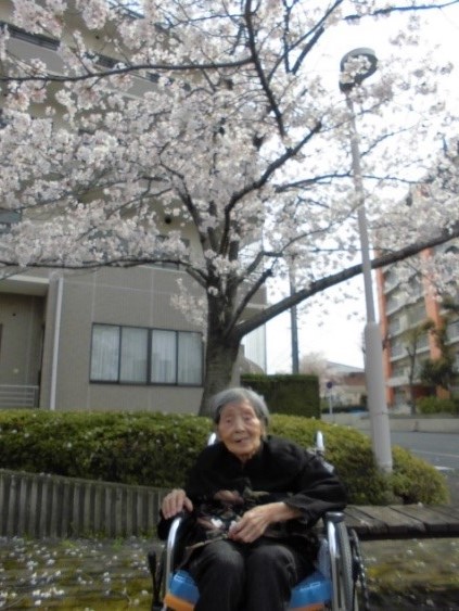 満開の桜に笑顔がこぼれます。