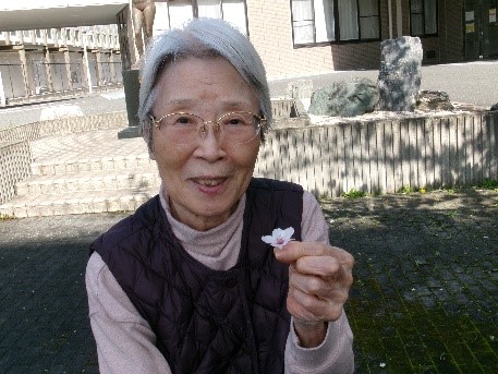 舞った桜の花びらも綺麗