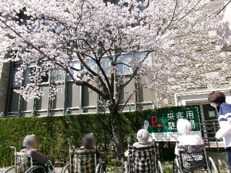 皆様一緒に桜を楽しみました