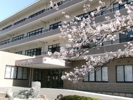 瑞穂の桜が満開です