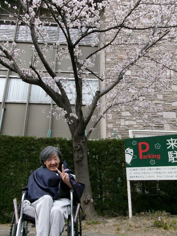 桜を見ると笑顔になりますね